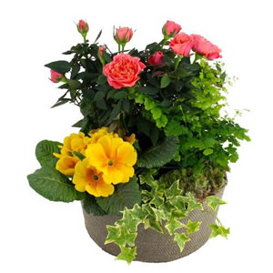 COMPOSITION SOUVENIRS