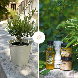 OLIVIER + COFFRET TRUFFE