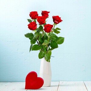 5 + 1 ROSE MARQUEE AMOUR