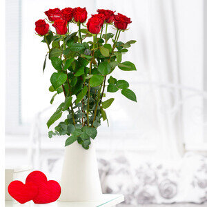 11 + 1 ROSE MARQUEE AMOUR