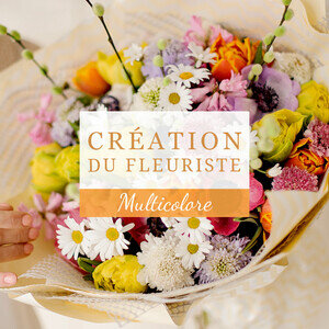 CREATION MULTICOLORE