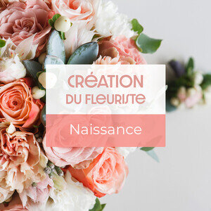 CREATION NAISSANCE