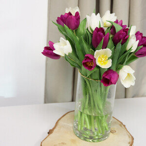 20 TULIPES BICOLORES