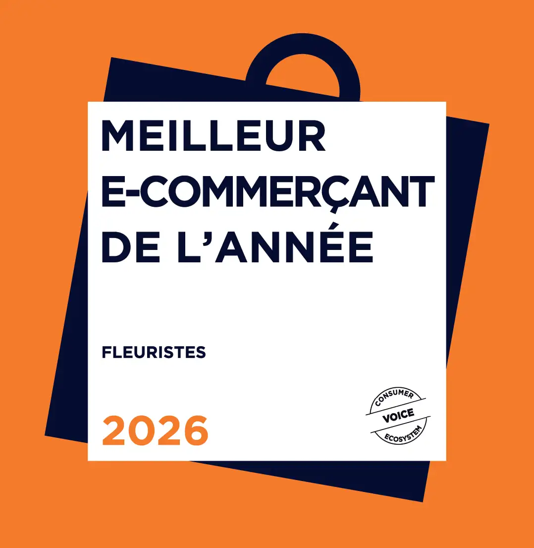 logo meilleur e-commerçant